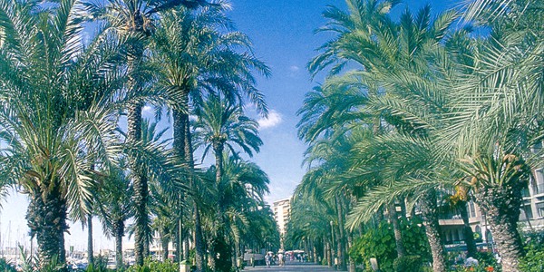 Alicante_promenade