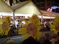 Alicante_carnival