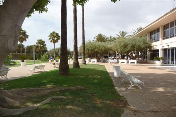 Ecole-de-tennis-Alicante-31